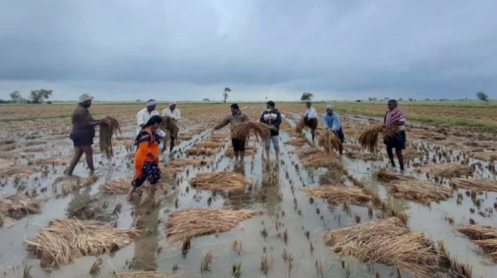 পাকিস্তানে ভারি বৃষ্টিতে ২২ জনের মৃত্যু পাকিস্তানে ভারি বৃষ্টিতে ২২ জনের মৃত্যু